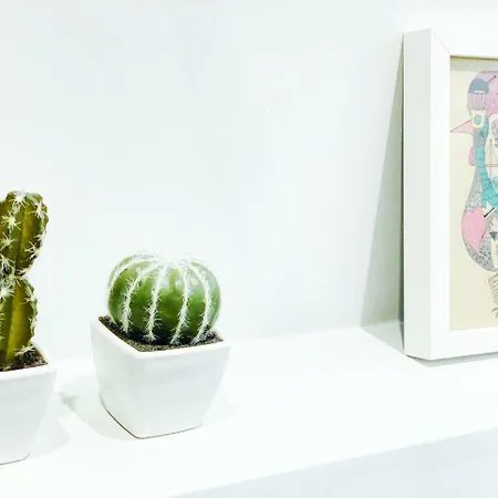 Parque de Campismo Casa Tuia Carvoeiro (Lagoa)