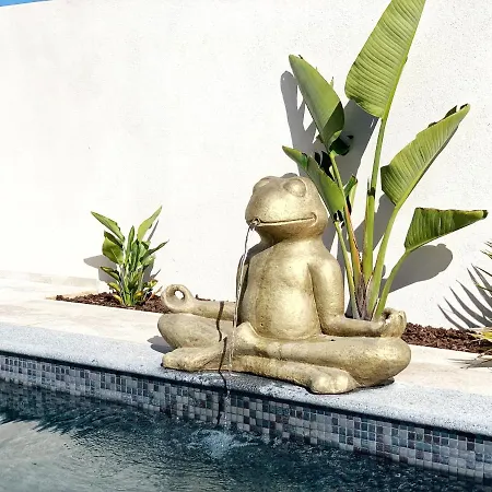 Casa Tuia Carvoeiro (Lagoa)